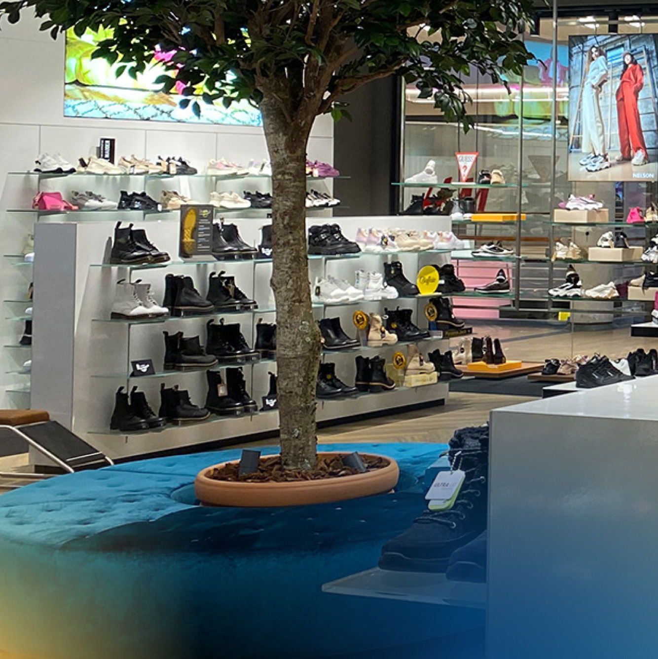 Dat maakt Ludec: van familiebedrijf tot merk met ambitie