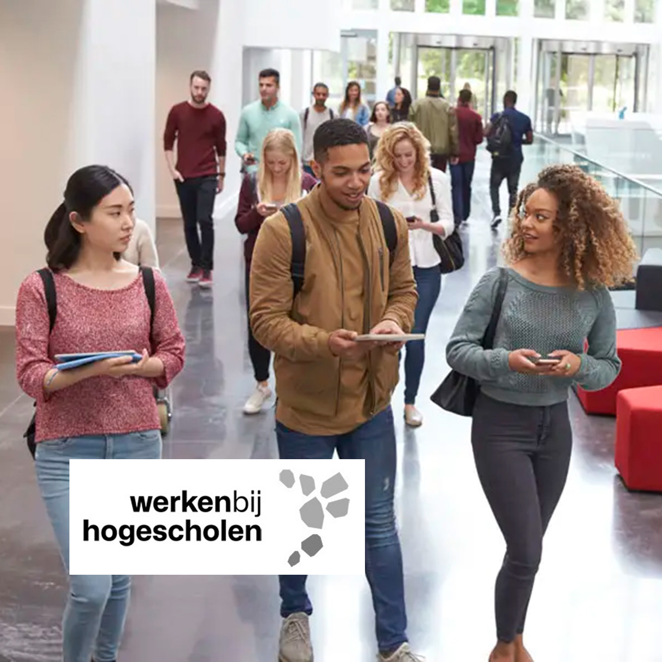 Jobmarketing voor werkenbijhogescholen.nl